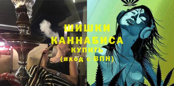 твердый Заводоуковск