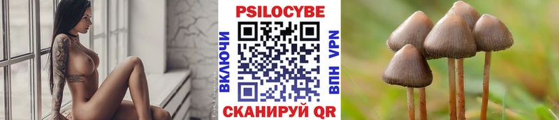 Псилоцибиновые грибы ЛСД  Луга 