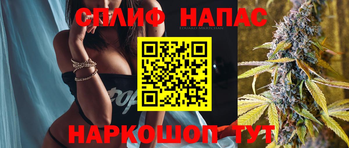 Конопля конопля  Каннабис SATIVA & INDICA  Бошки марихуана марихуана  Вход с VPN  Луга  Марихуана SATIVA & INDICA 